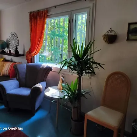 Retro House