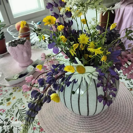 Retro House Tatil Evi Savonlinna